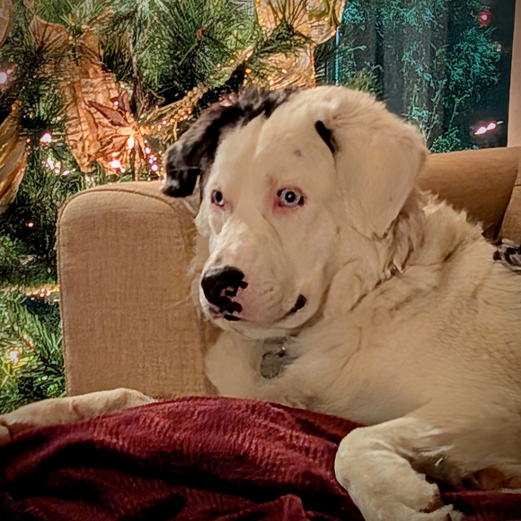 Meet your Posher, Nathalie - Picture 1 of 1